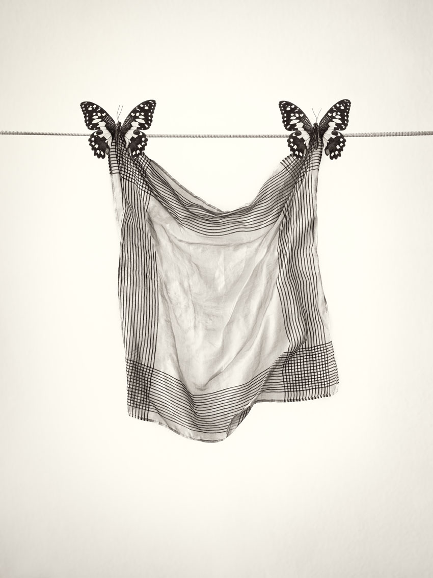 Mariposa Pañuelo 50x60cm