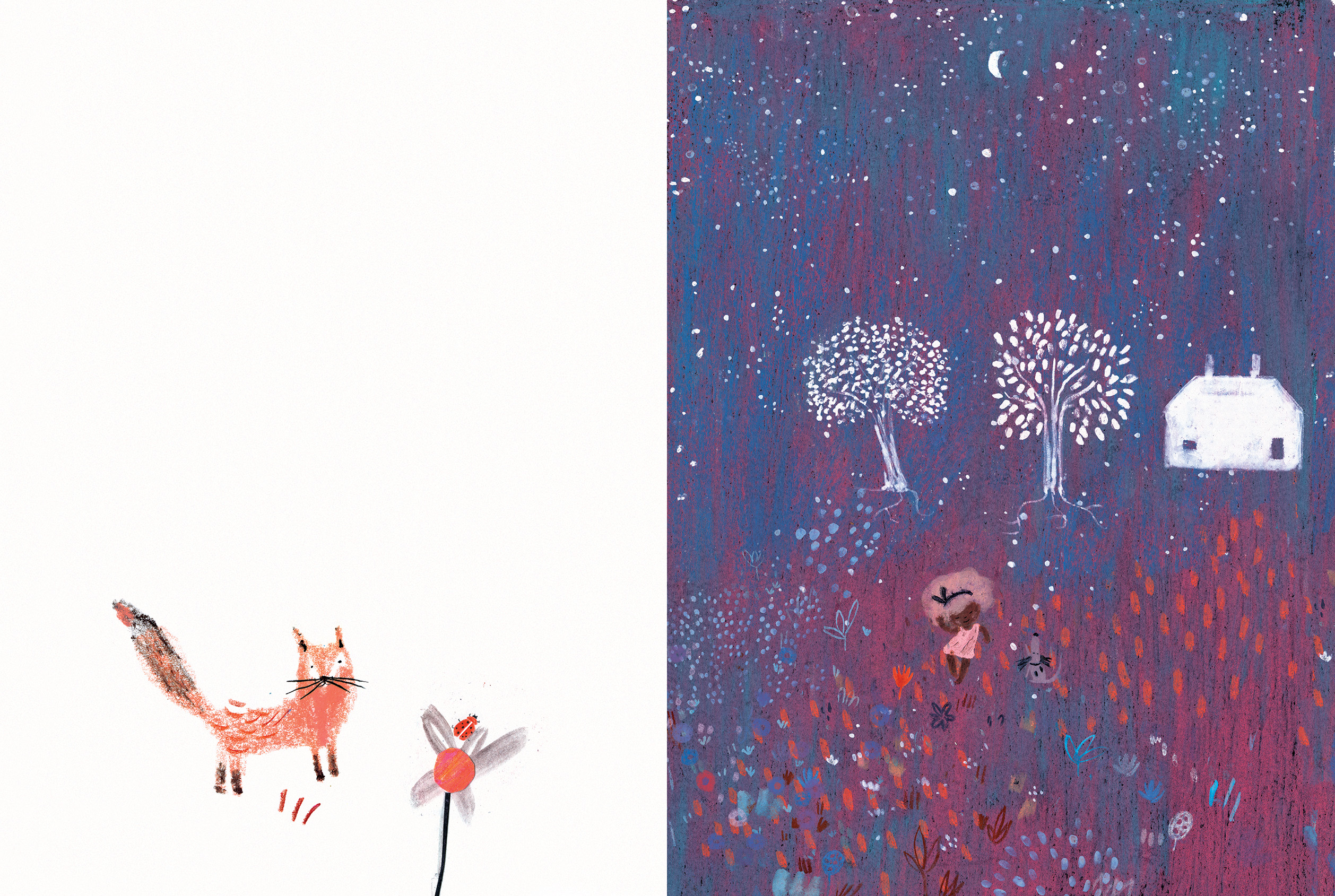 Ilustración 02