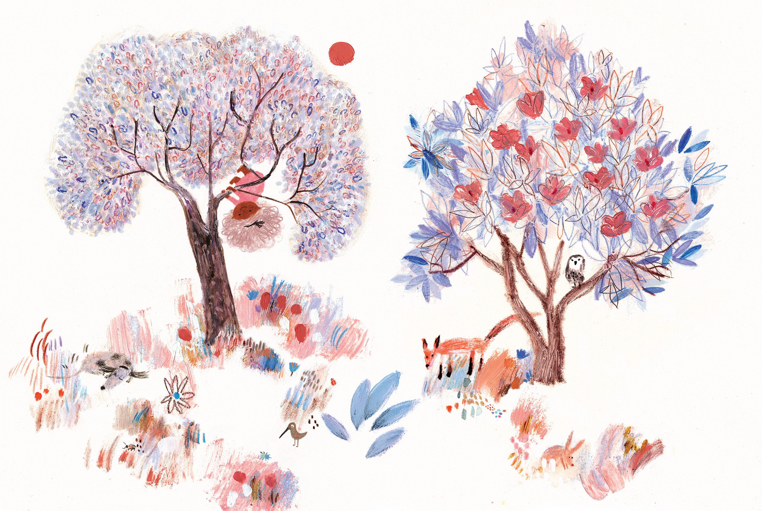 Ilustración 03